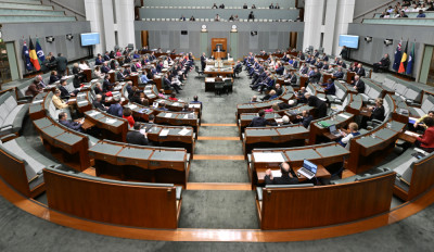 The House of Representatives